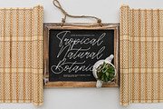 Soft Petals Beauty Monoline Handwr, a Script Font by Integritype Studio (Thumbnail 2 of 15)
