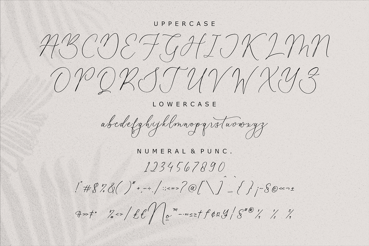 Beatrice Clorophil Chic Calligraphy, a Script Font by Storytype Studio (Photo 13 of 15)