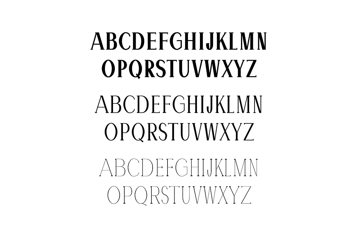 Hommer Minimal Serif Font Family preview 2