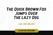 Pittsbrook Sans | 4 Fonts, a Sans Serif Font by Twicolabs Fontdation (Thumbnail 3 of 14)