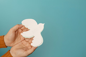 Hands gently holding white dove symbolizing peace, Freedom, harm, a Photo by salmon.black