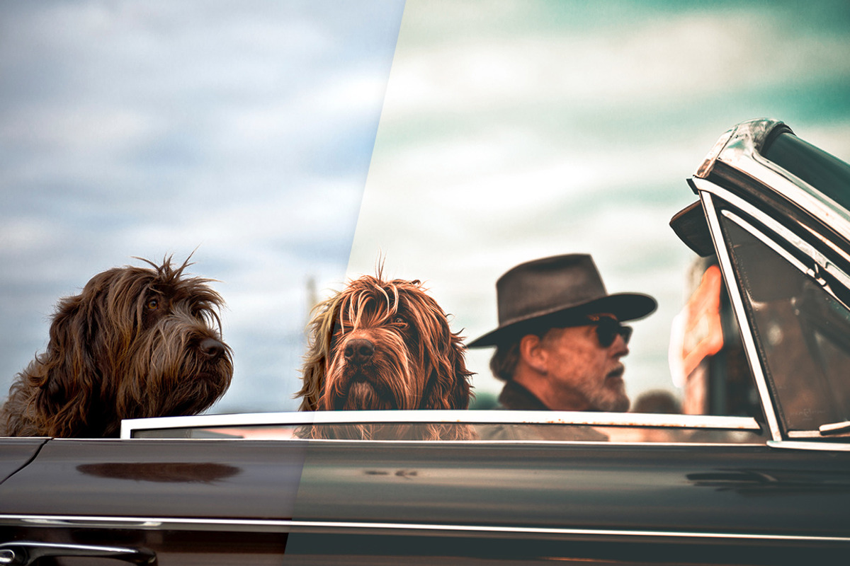 Warm & Golden Lightroom Presets, an Action Add-On by PhotoMarket (Photo 18 of 48)