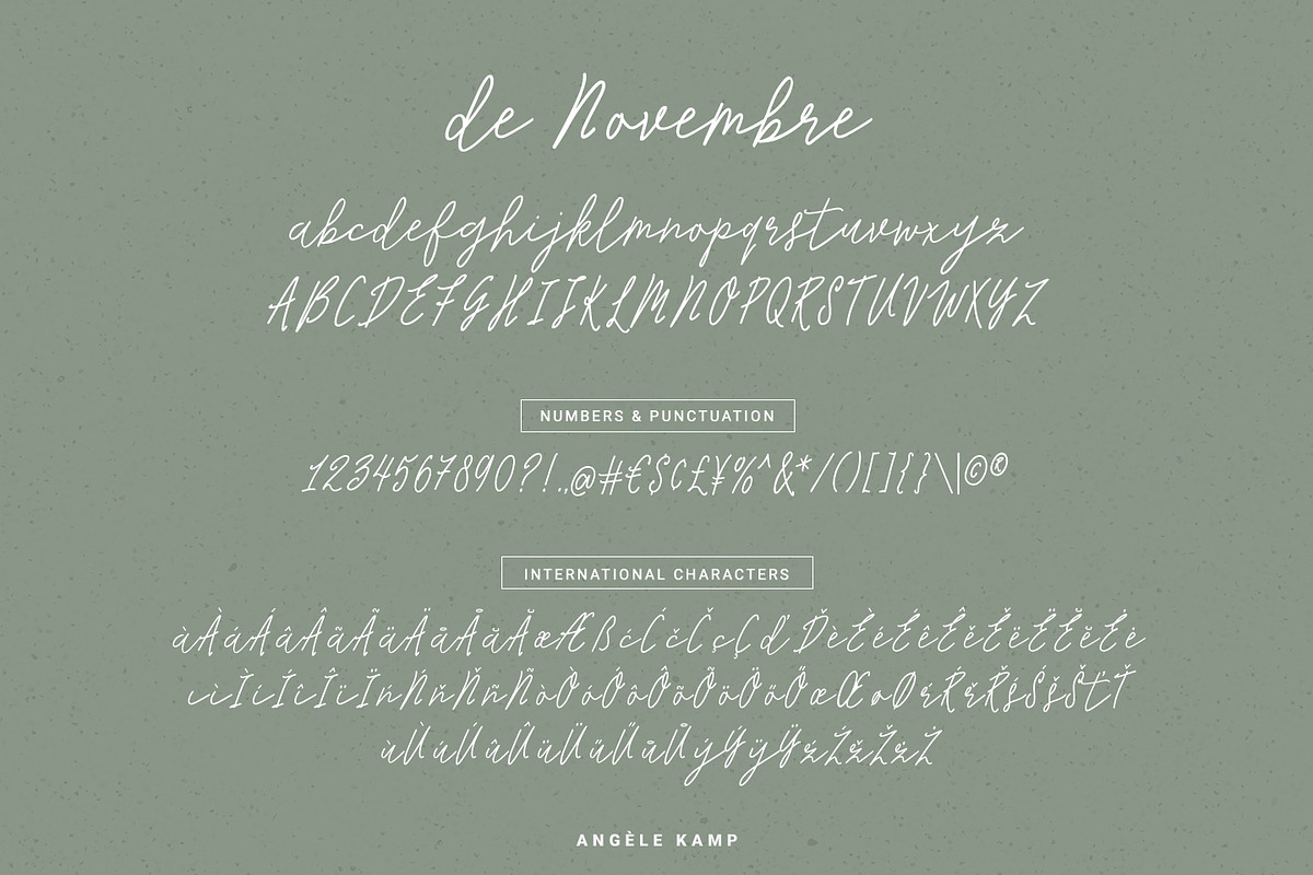 De Novembre Sleek Signature Script preview 5