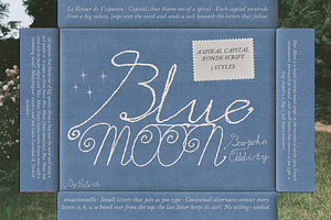 Blue Moon - Monoline Textured Font, a Handwritten Font by Lilithcollageart