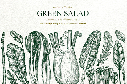 Green Salad Vector Collection, a Food Illustration by Lubov Illustrations Shop