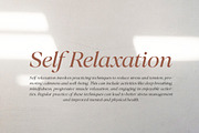 Perfect Challenge Serif Family, a Serif Font by Mulkan Nazir (Thumbnail 13 of 22)