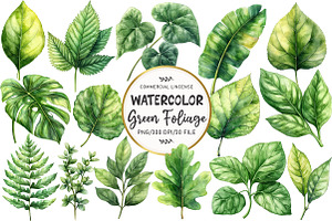 Green Summer Foliage Clipart, an Illustration by OK Design