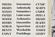 The Musa Editorial | 18 Font Files, a Serif Font by Romiecreative (Thumbnail 7 of 12)