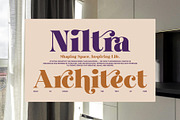 Milka Elegant Serif Font, a Serif Font by Elegant Font (Thumbnail 4 of 8)