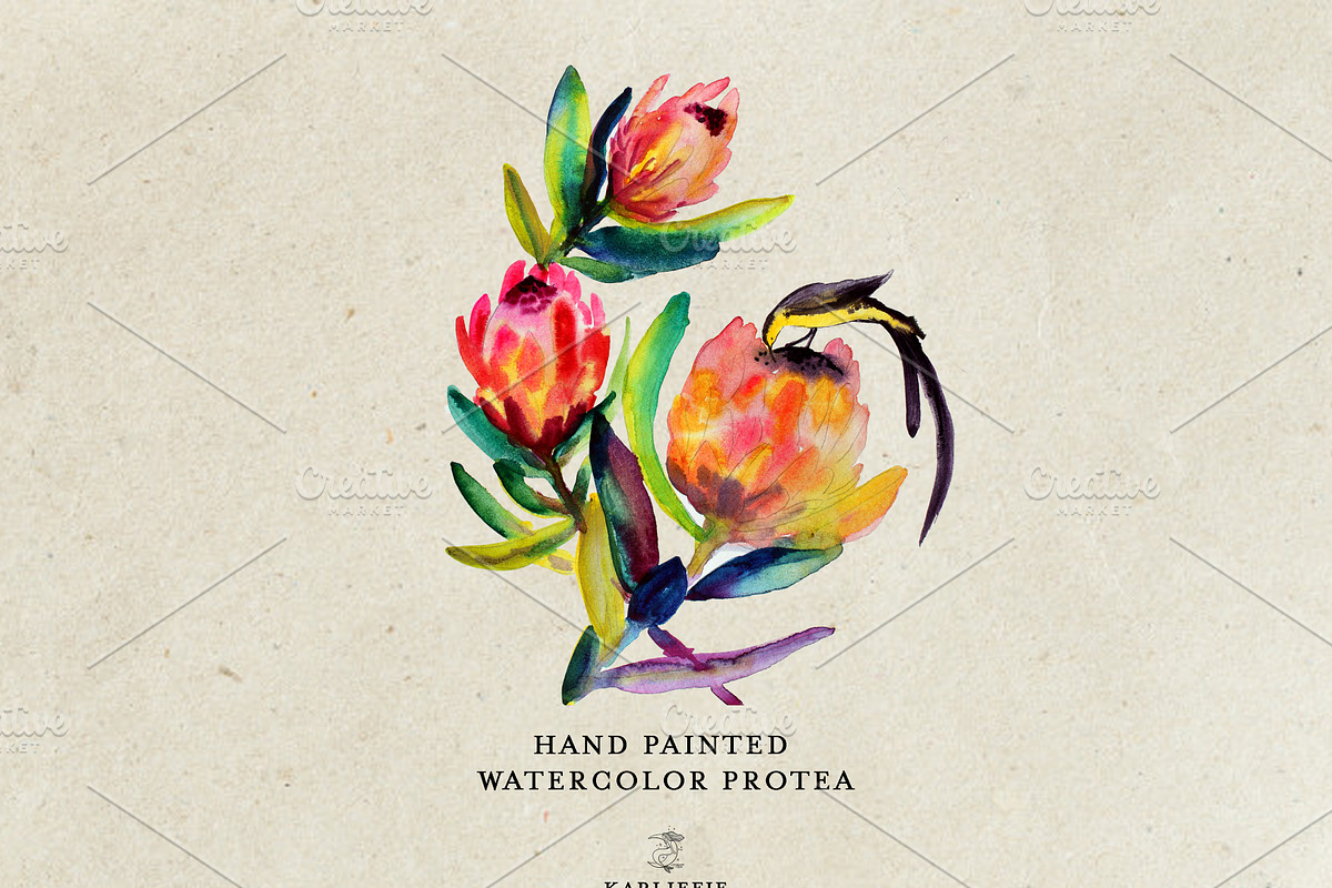 Watercolor Flowers and bird, a Decorative Illustration by Karliefie (Photo 2 of 2)