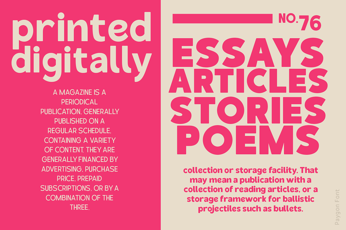 Paygon Sans Family, a Sans Serif Font by TypeClassHeroes (Photo 8 of 15)