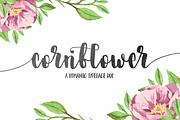 Cornflower DUO, a Handwritten Font by supfonts (Thumbnail 1 of 7)