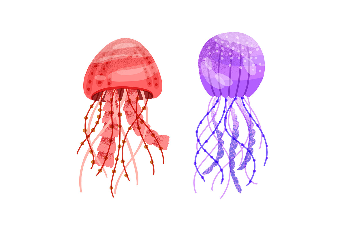 Different jellyfish, sea animals set, an Animal Illustration by Good Studio (Photo 3 of 6)