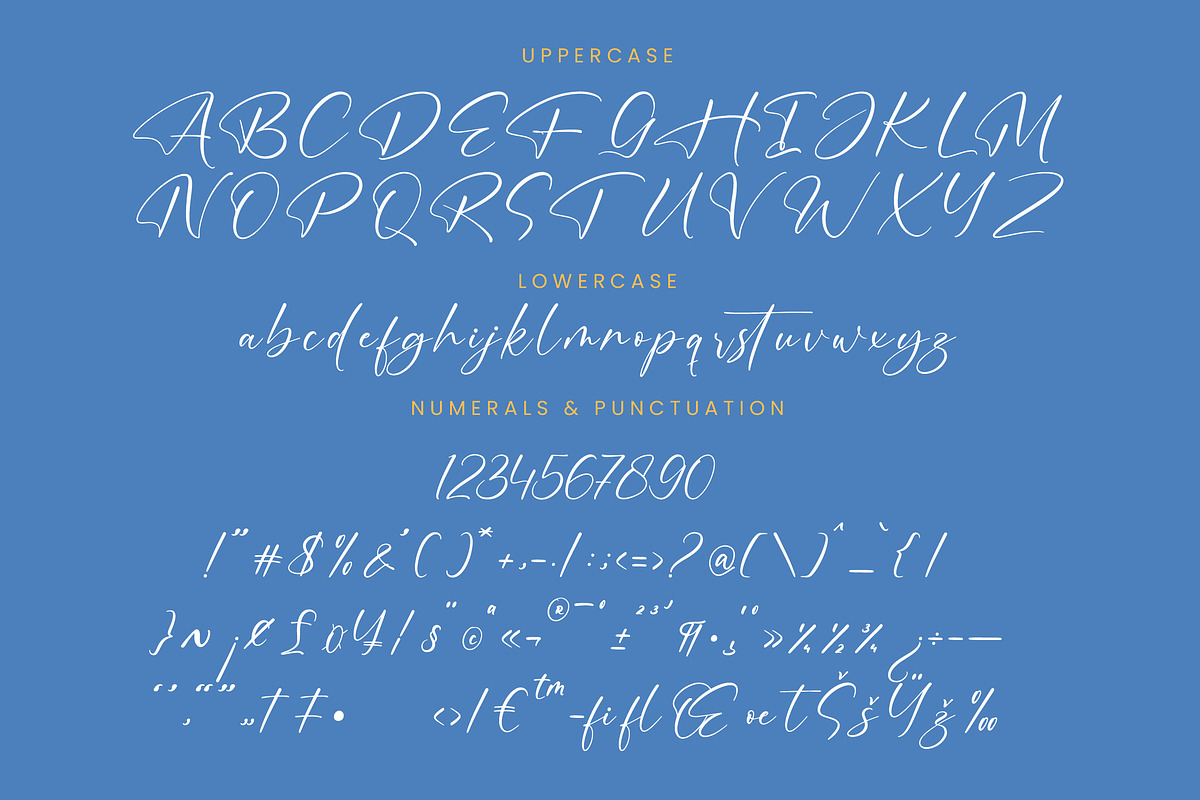Motion Amusement Modern Signature, a Script Font by Letterena Studios Script (Photo 13 of 15)