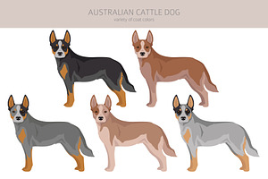 Australian Cattle Dog Clipart