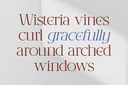 CS Brody – Classic Font, a Serif Font by Craft Supply Co. (Thumbnail 5 of 8)