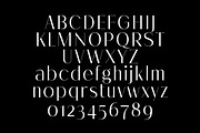 Melloida High Contrast Sans Family, a Sans Serif Font by Lettertype Studio (Thumbnail 9 of 15)