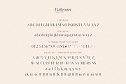 Hallenger Serif Font, a Serif Font by Salt & Pepper Designs (Thumbnail 8 of 10)