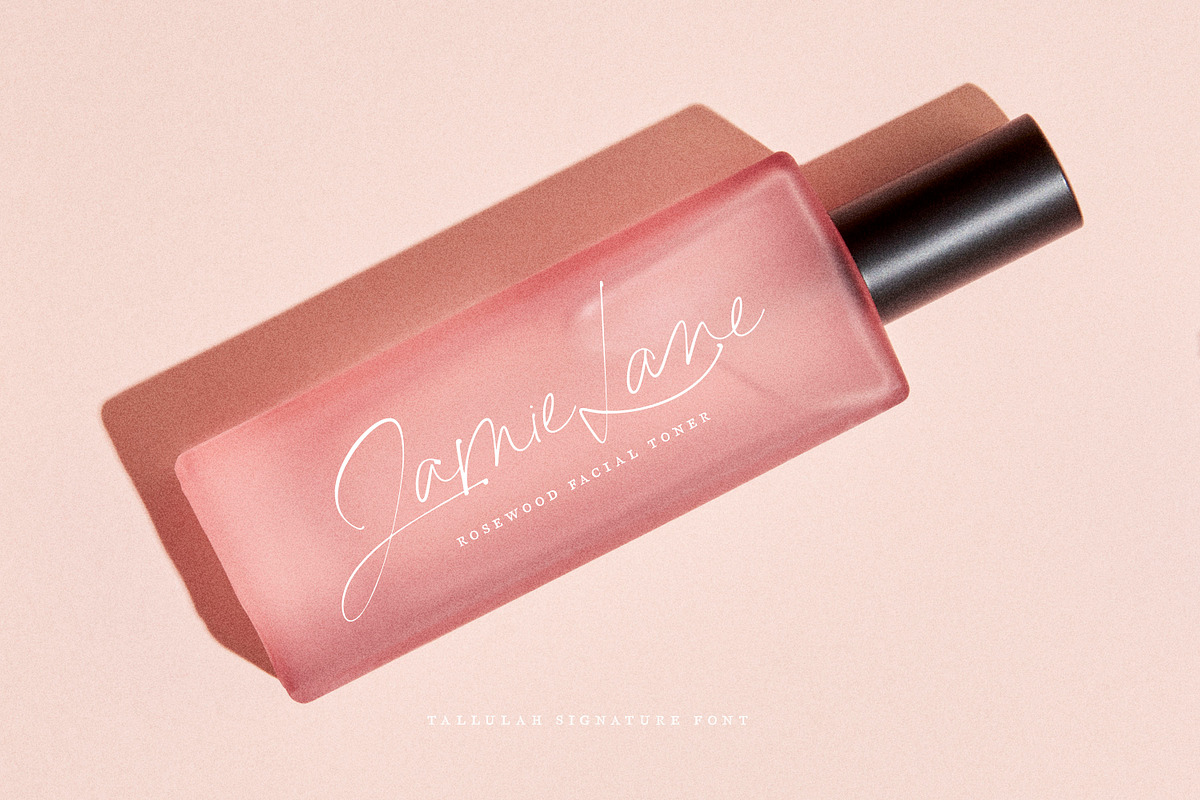 Tallulah Signature Script, a Script Font by Callie Rian & Co. (Photo 15 of 17)