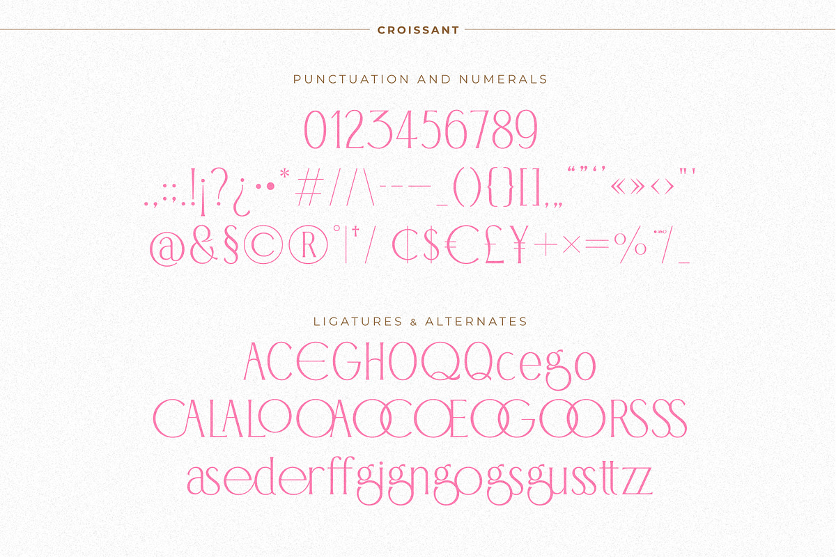 BD Croissant | 7 weights, a Serif Font by Brandear Design (Photo 16 of 16)