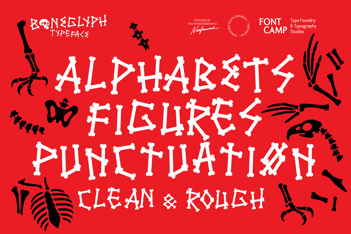 Boneglyph Font, a Symbol Font by Fontcamp Type Foundry (Photo 6 of 10)
