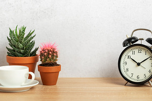 Coffee cup, alarm clock and succulents showing time management a, a Business Photo by Olena Rudo