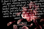 KÜNZLER – Condensed Handwritten Font, a Handwritten Font by VASTARD STUDIO (Thumbnail 3 of 12)