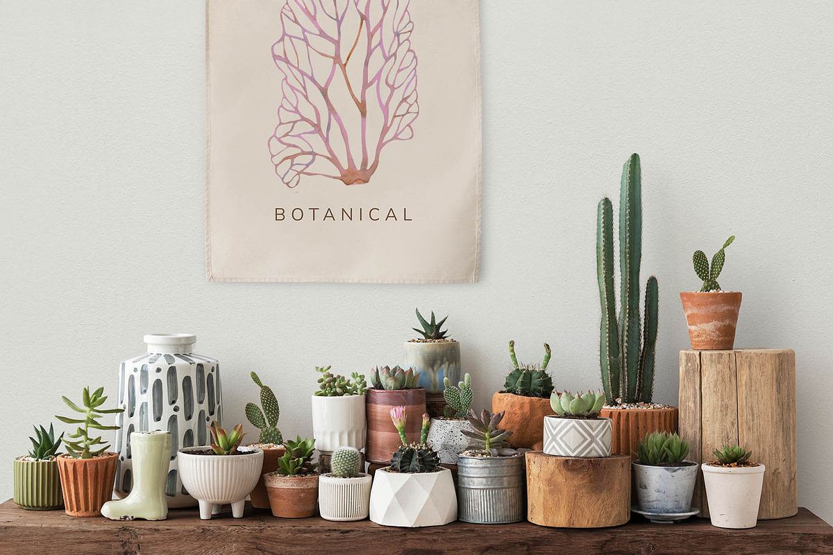 Algaia. Seamless patterns, a Pattern Graphic by emeraldthue (Photo 2 of 10)