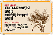 Grissini Ligature Label Font, a Sans Serif Font by JumboDesign (Thumbnail 3 of 6)