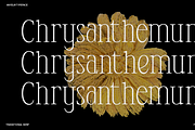 Anyelir Display - Condensed Serif, a Serif Font by Magnolitype (Thumbnail 12 of 21)