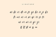 Strike - Modern Script Font, a Script Font by skiiller studio (Thumbnail 7 of 9)