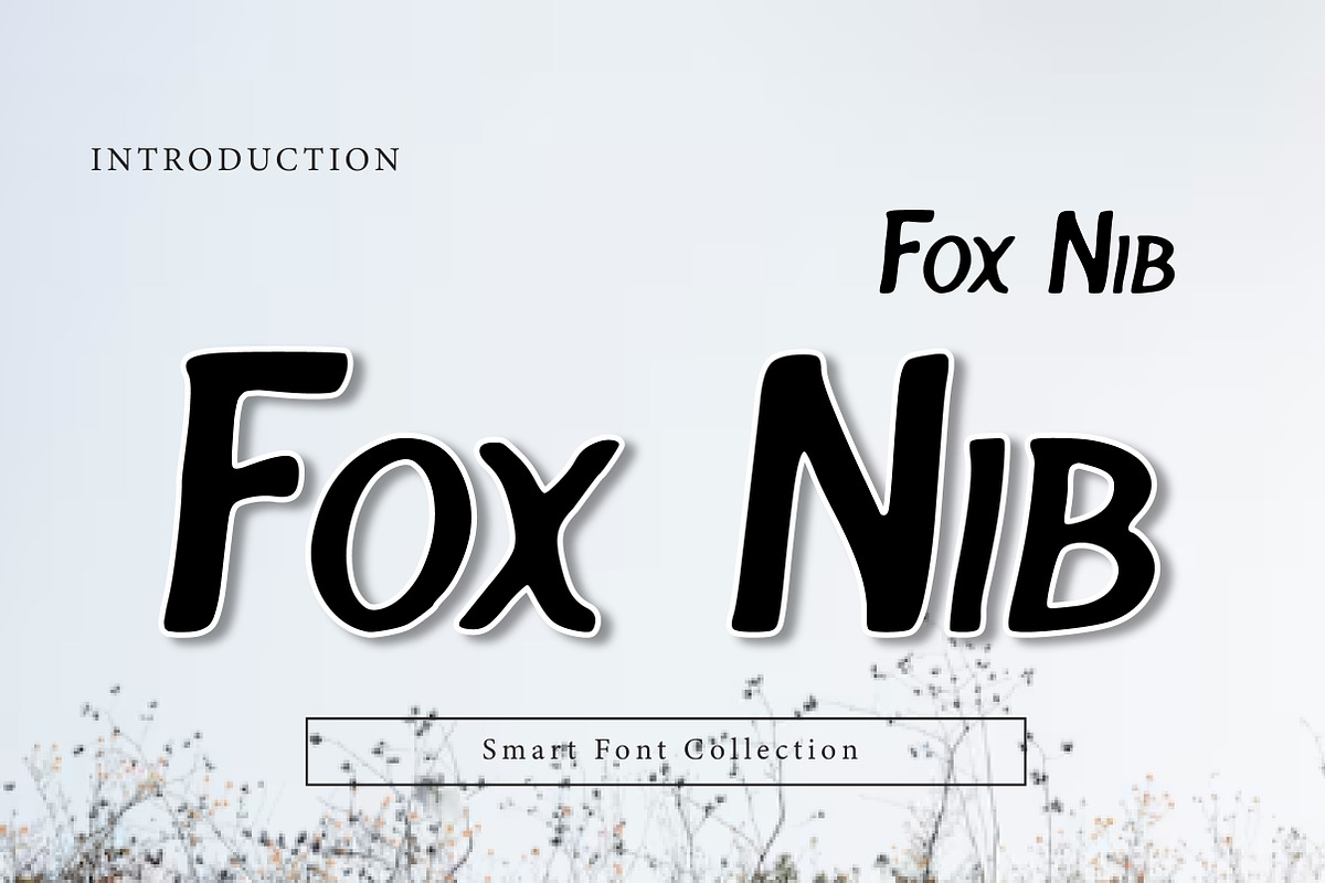 Fox Nib, a Serif Font by Wow Magic (Photo 1 of 3)