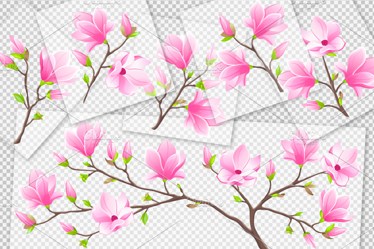 SET / 8 / Magnolia Textures, 8 march, a Decorative Illustration by Nadin_Lebedeva (Photo 6 of 6)