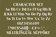 Elarion Elegant Serif Font, a Font by PutraCetol Studio (Thumbnail 5 of 5)