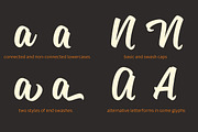 Sanelma, a Script Font by Mika Melvas (Thumbnail 8 of 11)