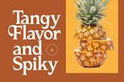 Katrine Nikolas Modern Serif, a Serif Font by timelesstype.co (Thumbnail 16 of 20)
