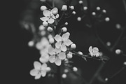 Mood collection, a Photo by Alekseyliss (Thumbnail 19 of 21)