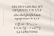 Regal - Curving Stylish Font, a Serif Font by The_Type (Thumbnail 11 of 12)