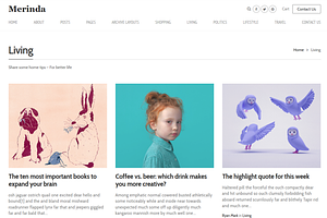 Merinda - WordPress Blog Theme