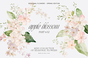 SPRING BOX Watercolor Bundle 400+, a Decorative Illustration by Muse Artist (Thumbnail 44 of 99)