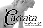 Sanzibar Script, a Script Font by ArtyType (Thumbnail 7 of 8)