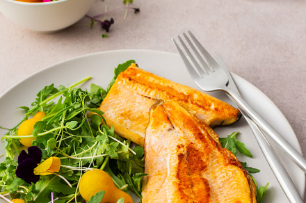 Salad and fried char, a Food & Drink Photo by Pandateam