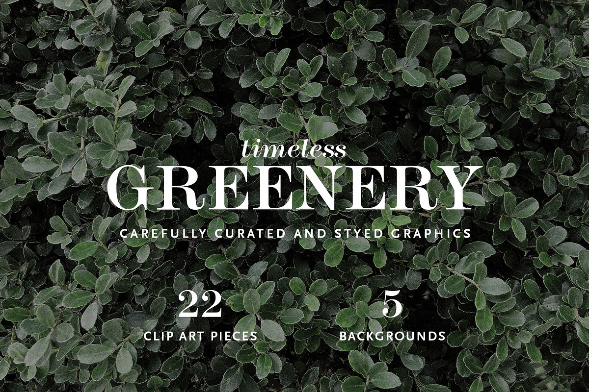 Timeless Greenery – Crafted Clip Art, a Texture Illustration by Scott Howard (Photo 2 of 7)