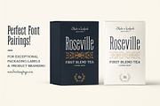 Hermitage Fonts and Illustrations, a Font by Heritage Type Co. (Thumbnail 9 of 15)
