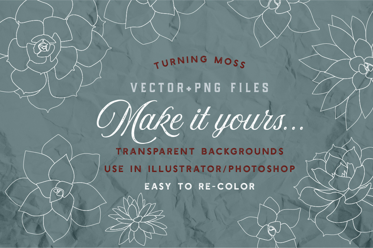 Succulent Clip Art - Botanic Vectors, an Illustration by Turning Moss (Photo 4 of 5)