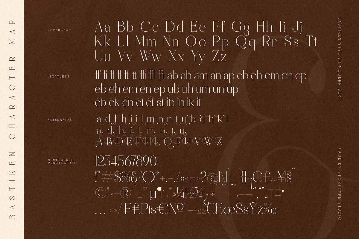 Bastiken Stylish Modern Serif, a Serif Font by Storytype Studio (Photo 14 of 15)