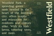 Gerfard, a Serif Font by Craft Supply Co. (Thumbnail 2 of 8)