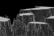 GEO_TERRAIN6 Vector Pack, a Background Graphic by codetoform (Thumbnail 3 of 21)
