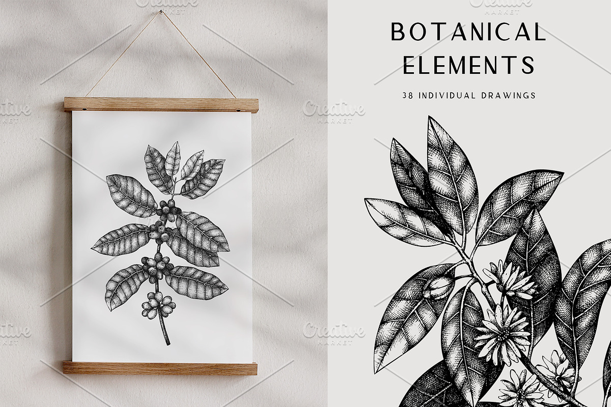 Exotic Plants. Designs & Patterns., a Pattern Graphic by Yevheniia (Photo 3 of 9)