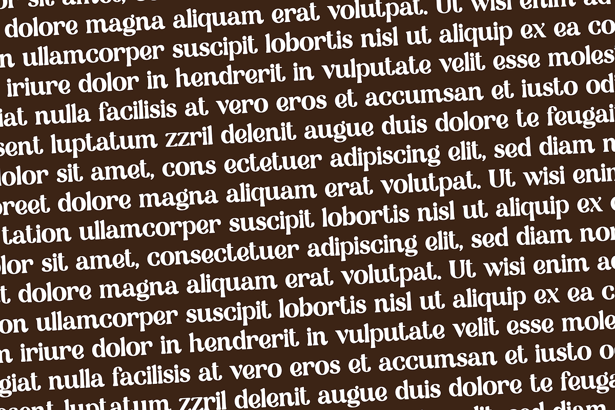 HOMEMADE Bold Modern Serif Font, a Serif Font by Blush Font Co. (Photo 4 of 4)